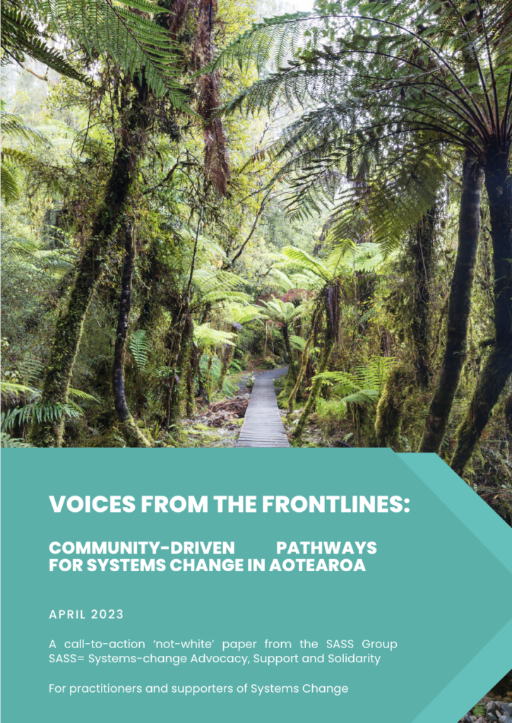 A banner displaying the front page of the paper, which has the title 'voices from the frontline: community-driven pathways for systems change in aotearoa'.